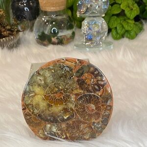 Ammonite Fossil Disk